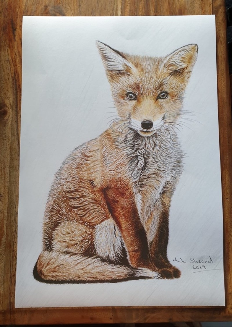 Other image for Mick manages to find comfort in the canvas...